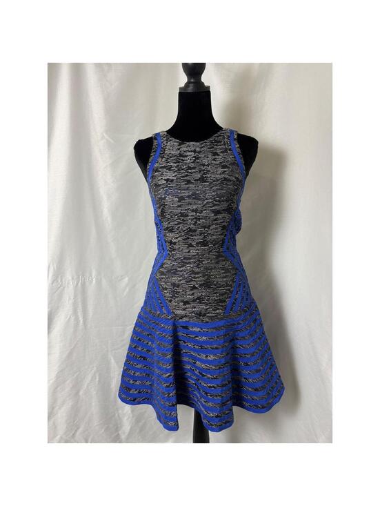 Parker Dresses & Skirts - Parker Blue Metallic Silver Geometric Striped Fit Flare Mini Dress XS Sleeveless